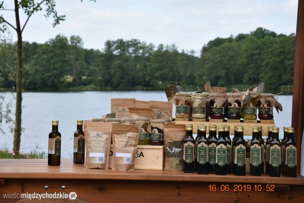 Rodzinny piknik sportowy w Olandii