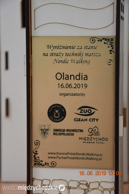 Rodzinny piknik sportowy w Olandii
