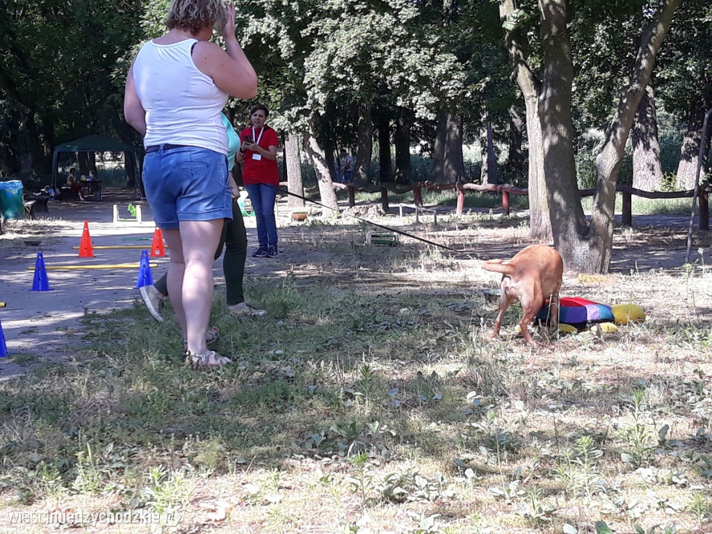 Zabawa dla czworonogów