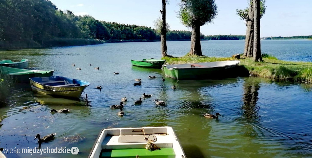 Jezioro Wolsztyńskie okiem Magdaleny