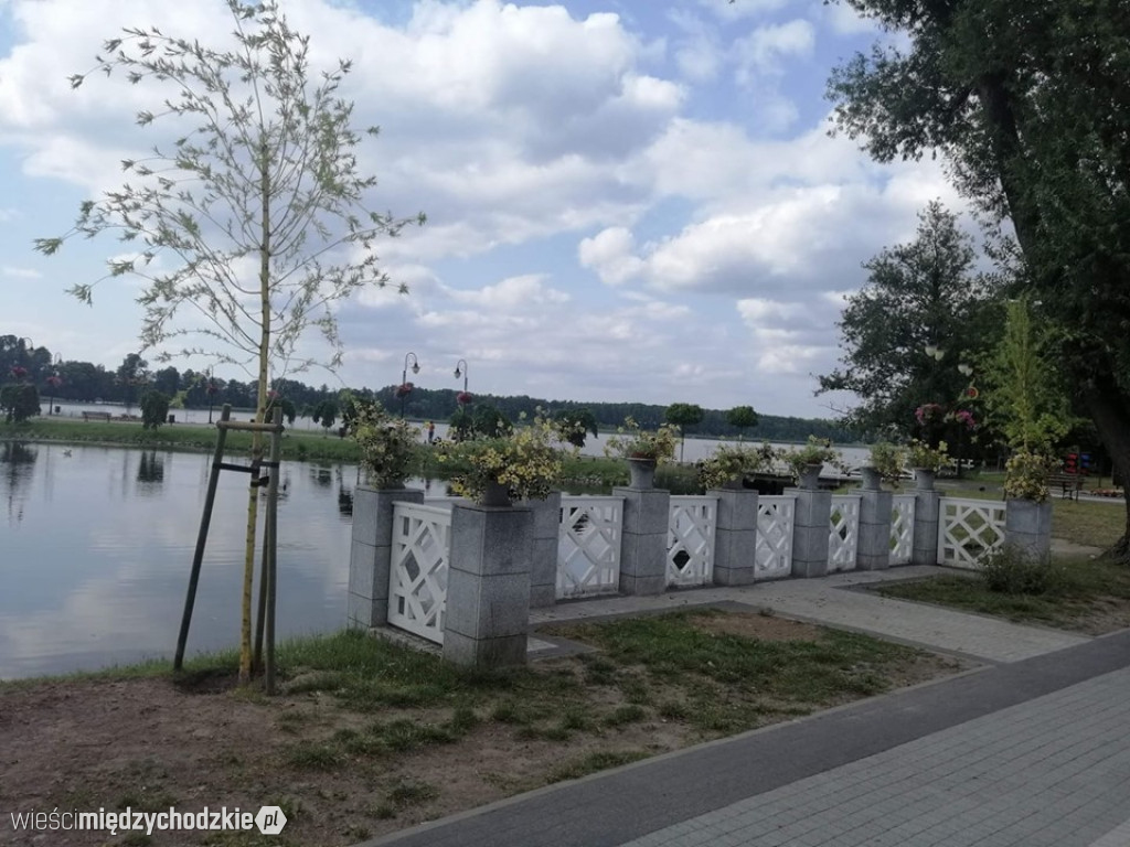 Jezioro Wolsztyńskie okiem Magdaleny