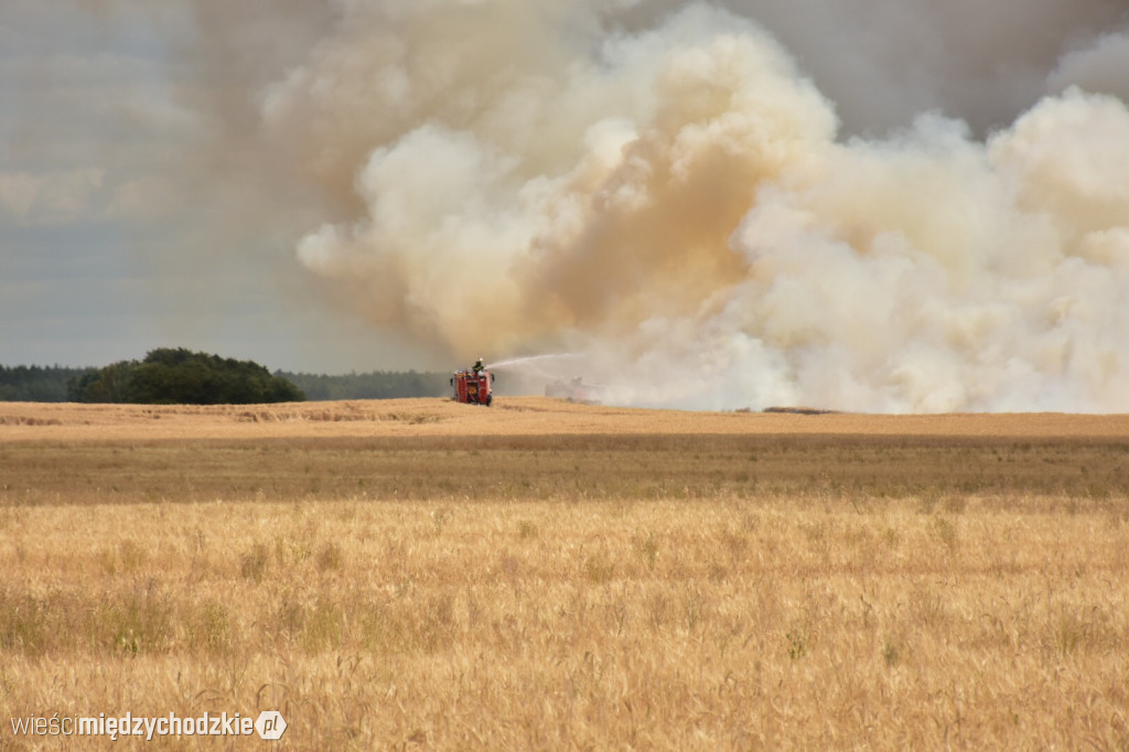 Pożar zboża w okolicach Tuczęp