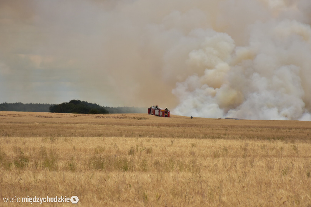 Pożar zboża w okolicach Tuczęp