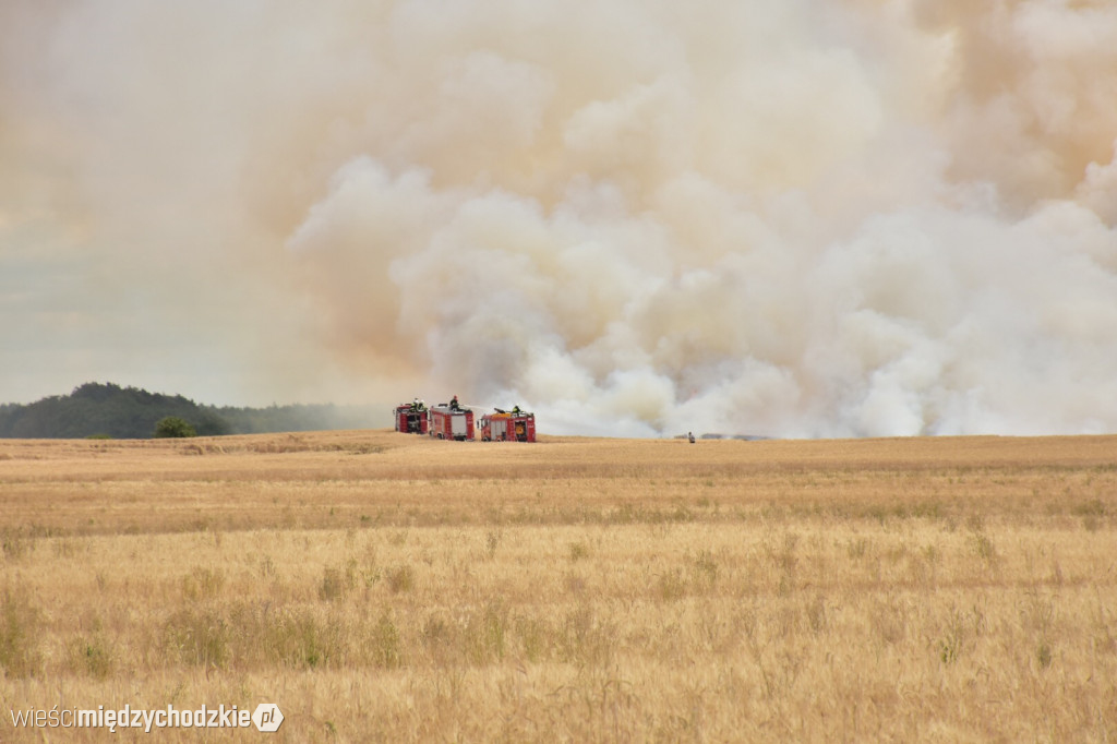 Pożar zboża w okolicach Tuczęp