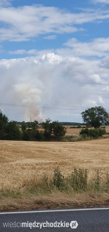 Pożar zboża w okolicach Tuczęp