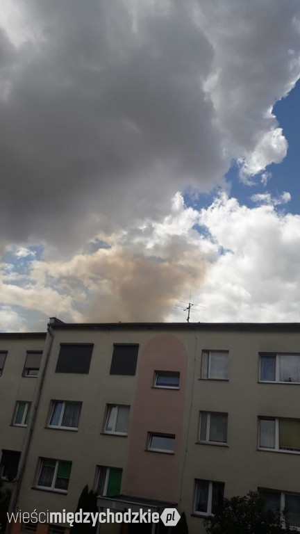 Pożar zboża w okolicach Tuczęp