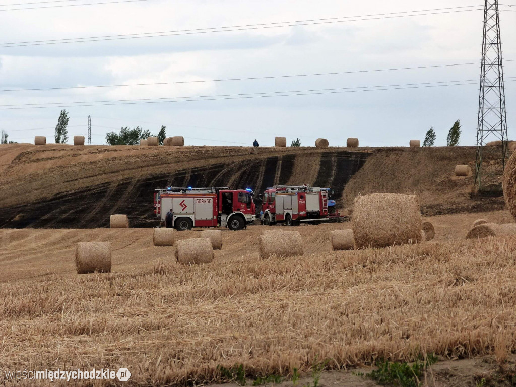 Pożar ścierniska w Dzięcielinie