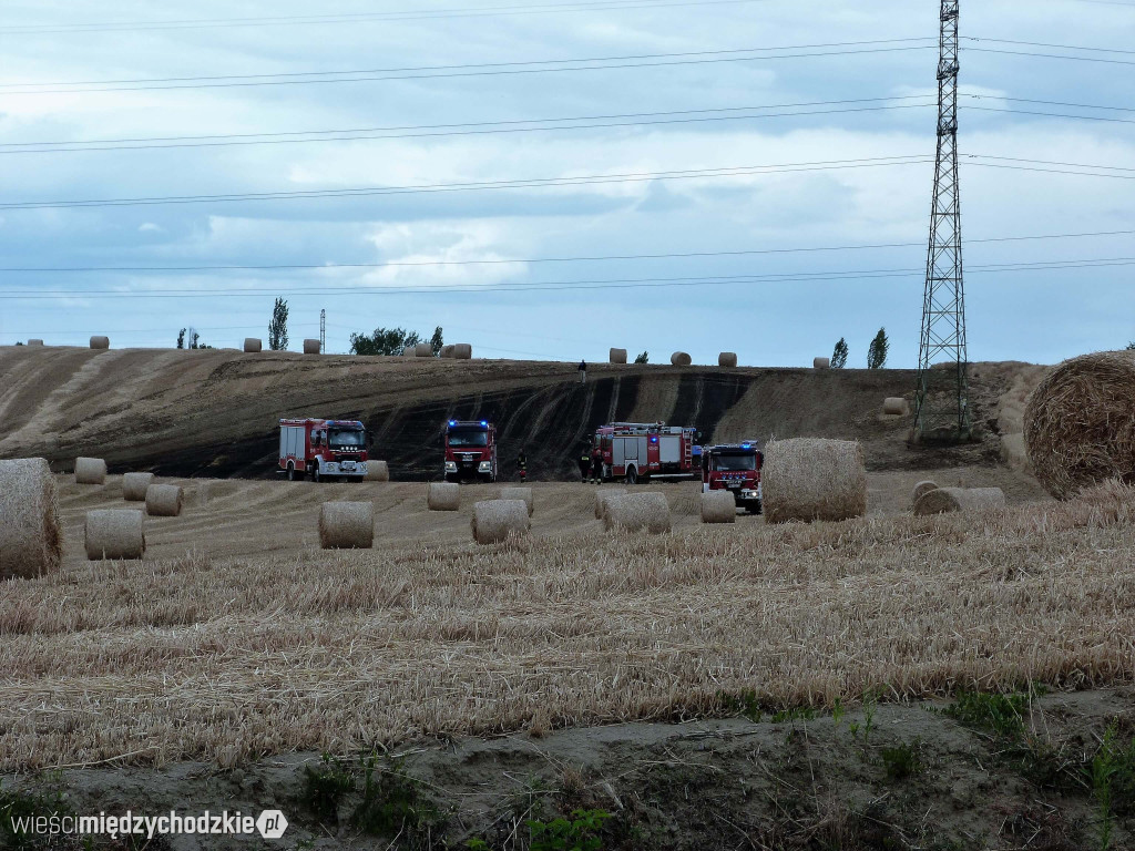 Pożar ścierniska w Dzięcielinie