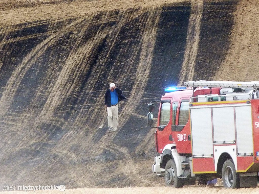 Pożar ścierniska w Dzięcielinie