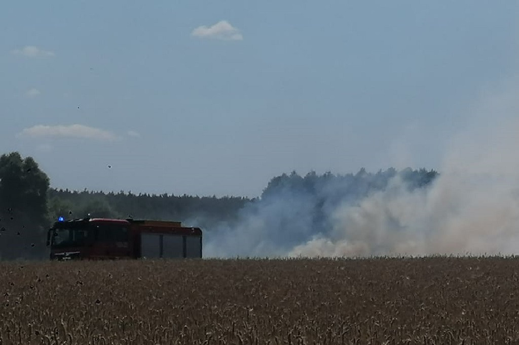 Kolejny pożar zboża