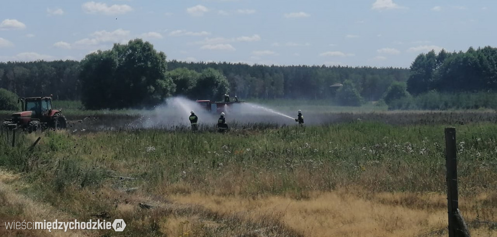 Kolejny pożar zboża