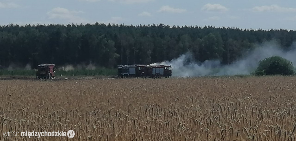 Kolejny pożar zboża