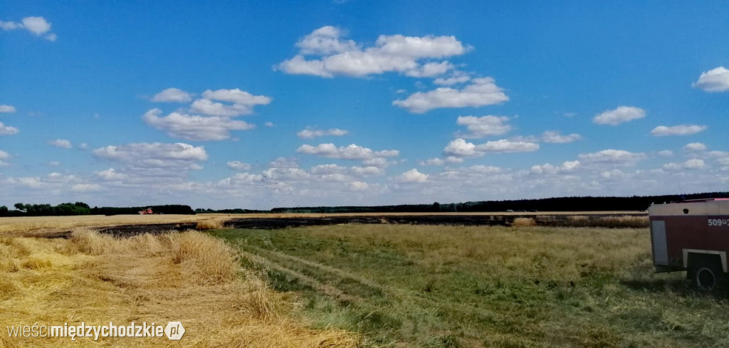 Kolejny pożar zboża