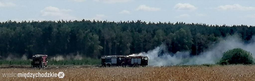 Kolejny pożar zboża