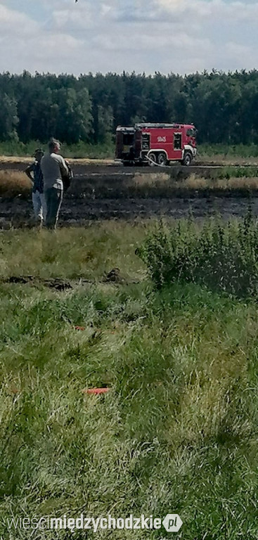 Kolejny pożar zboża