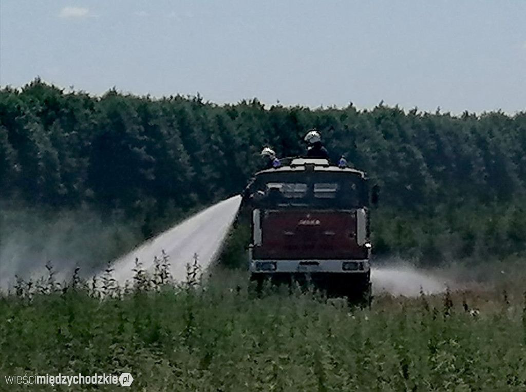 Kolejny pożar zboża