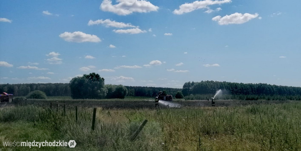 Kolejny pożar zboża