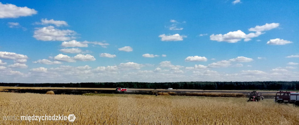 Kolejny pożar zboża