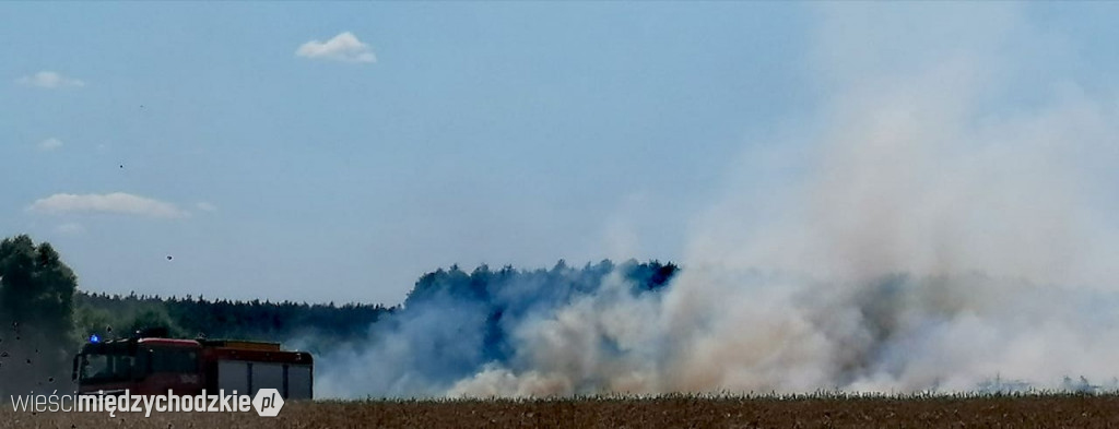 Kolejny pożar zboża