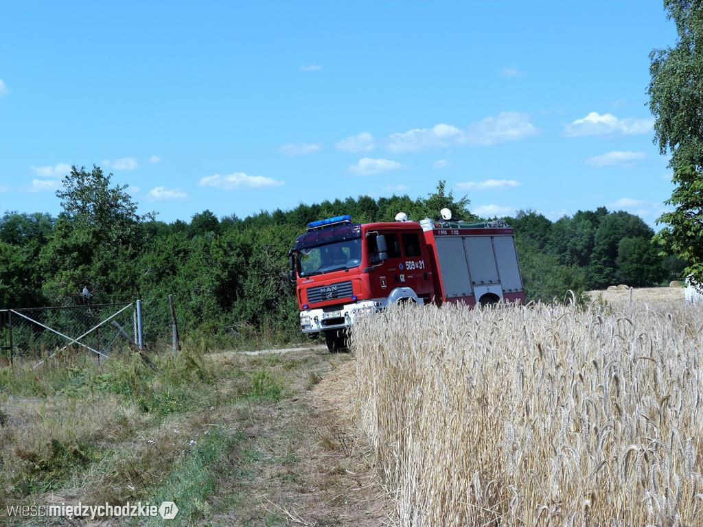 Kolejny pożar zboża
