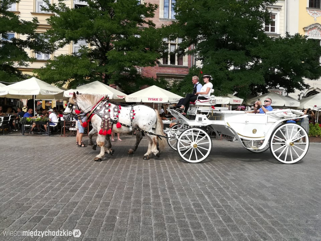 Wakacyjne fotorelacje z Małopolski