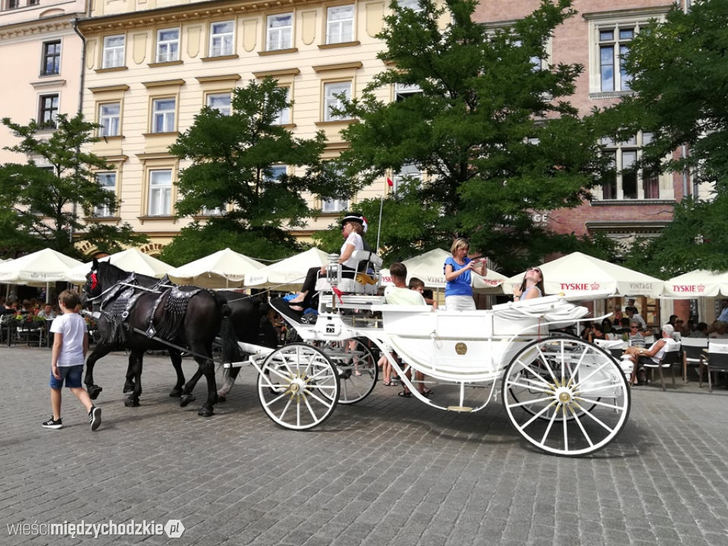 Wakacyjne fotorelacje z Małopolski