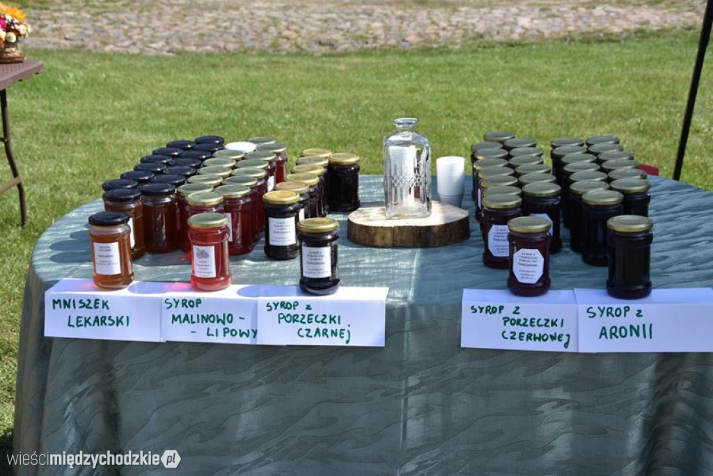 Święto Matki Boskiej Zielnej w Mniszkach
