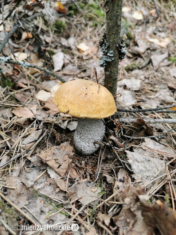 Weekendowe wspomnienia