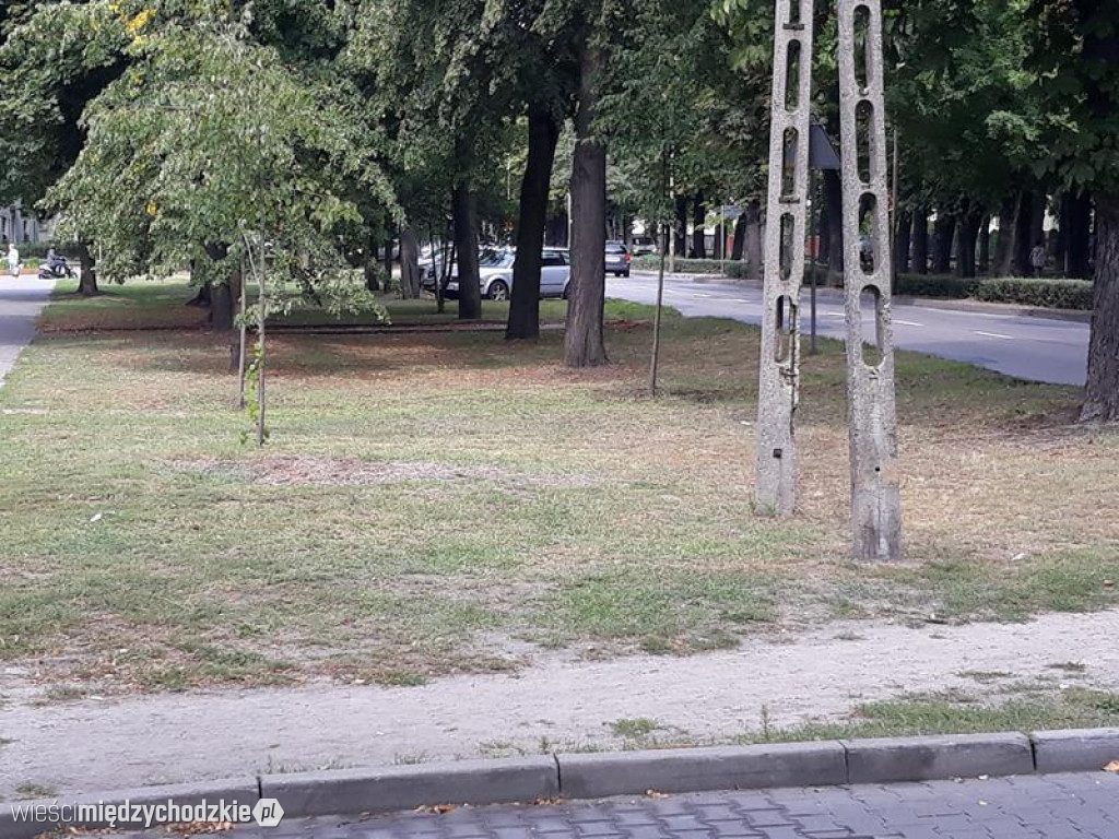 Wstydliwe miejsca dla Międzychodu