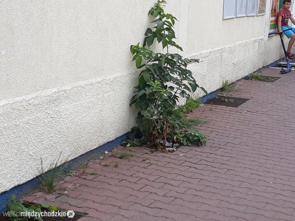 Wstydliwe miejsca dla Międzychodu