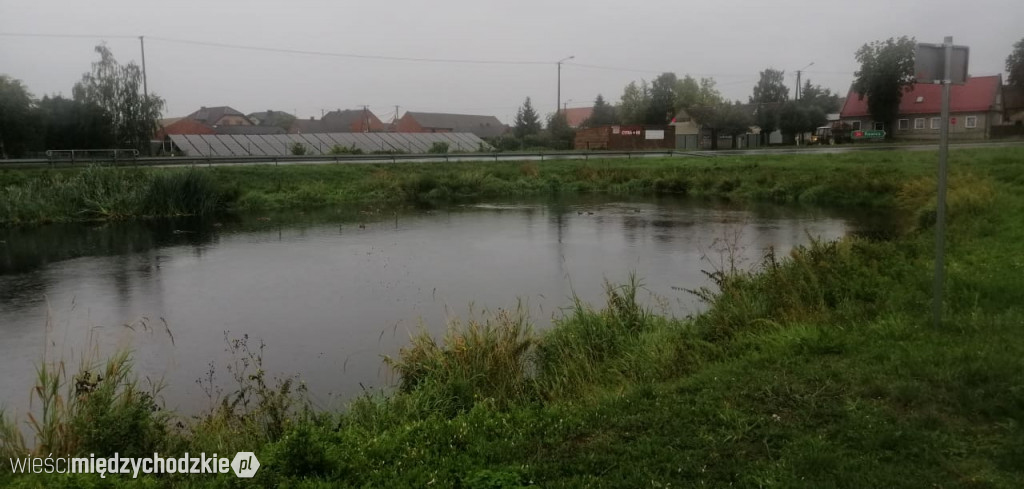 Trasa Rawicz-Kalisz pokonana.Dzień trzeci