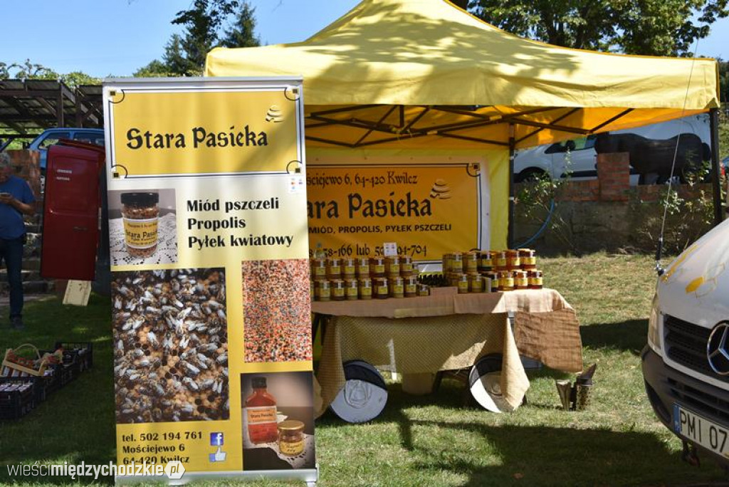 Etno Festiwal w Olandii
