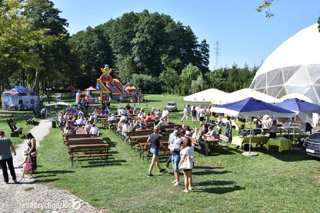 Etno Festiwal w Olandii