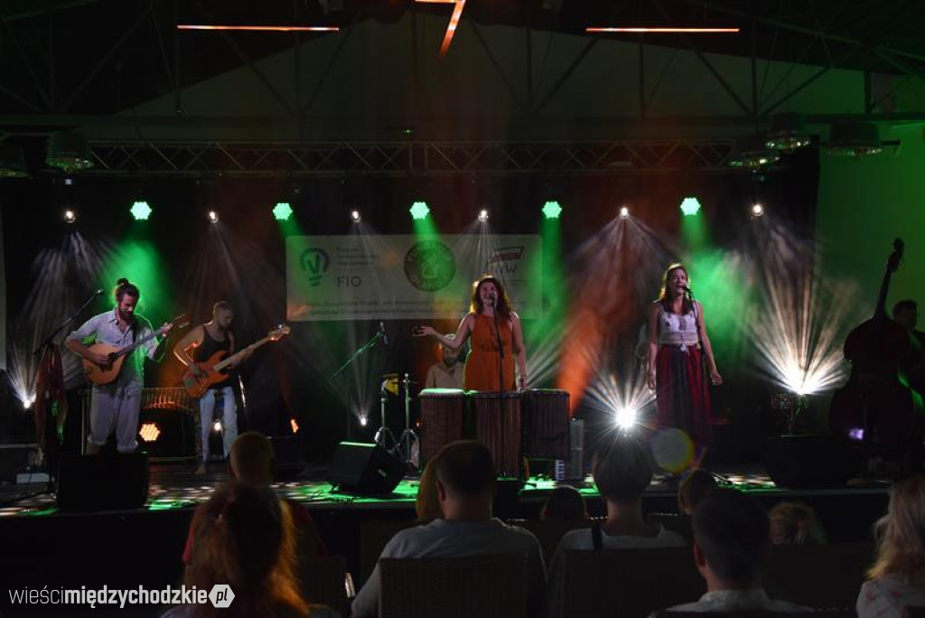 Etno Festiwal w Olandii