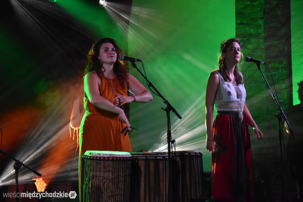 Etno Festiwal w Olandii