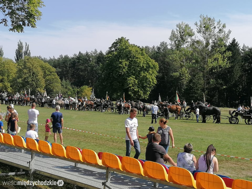 Pokazy konne na sierakowskim hipodromie