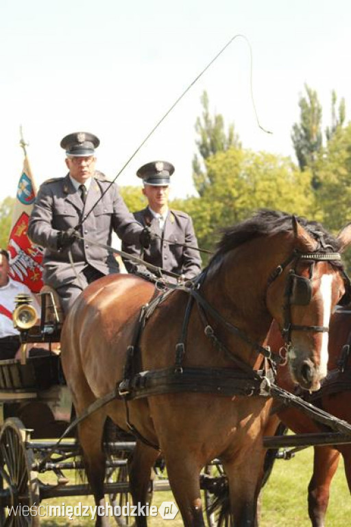 Pokazy konne na sierakowskim hipodromie