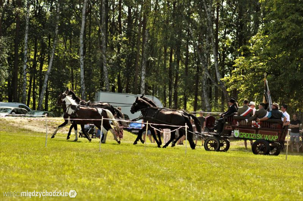 Pokazy konne na sierakowskim hipodromie