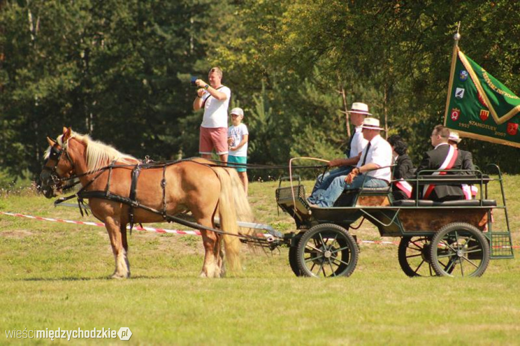 Pokazy konne na sierakowskim hipodromie
