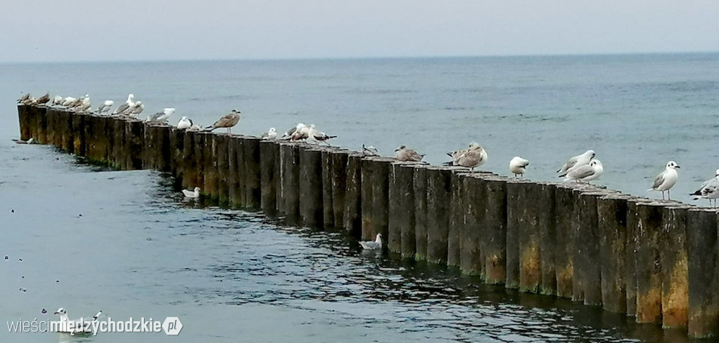 Wieczorową porą w Niechorzu