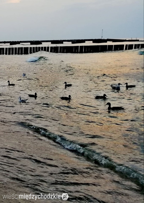 Wieczorową porą w Niechorzu