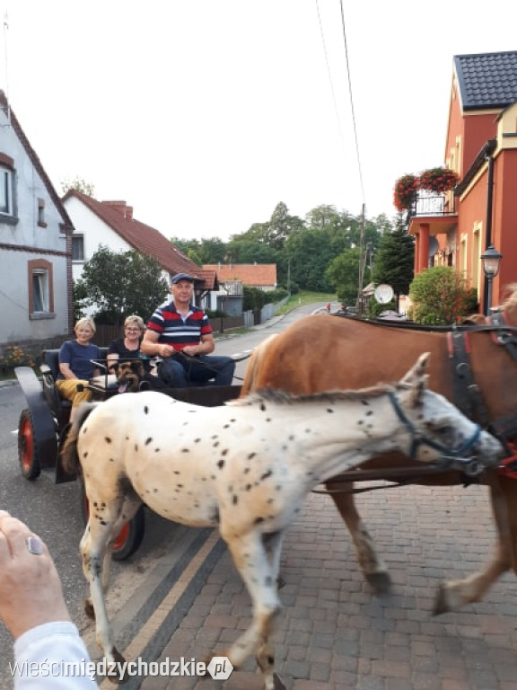 Maja w ogrodzie w Lewicach