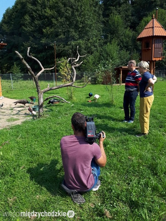 Maja w ogrodzie w Lewicach