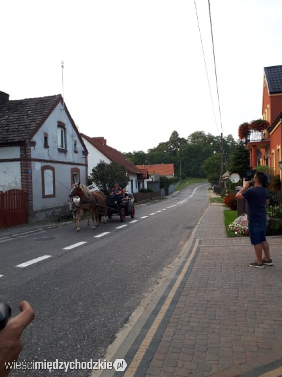 Maja w ogrodzie w Lewicach