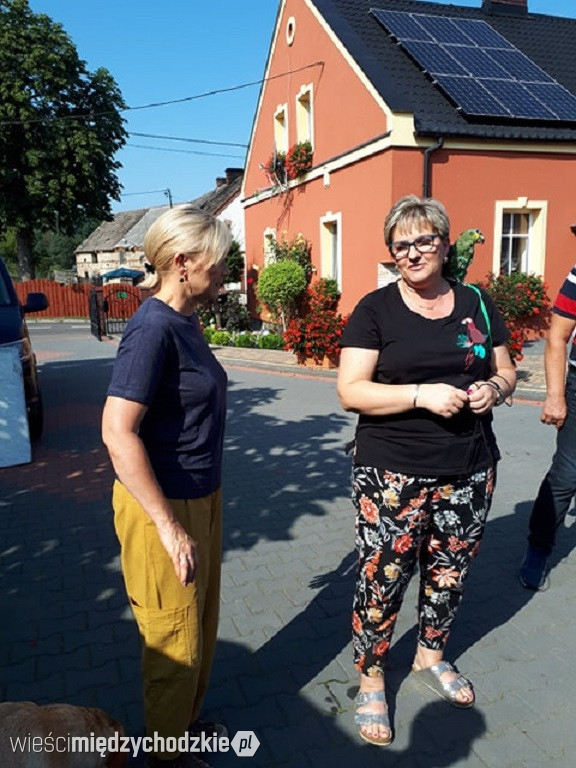 Maja w ogrodzie w Lewicach