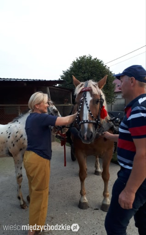Maja w ogrodzie w Lewicach