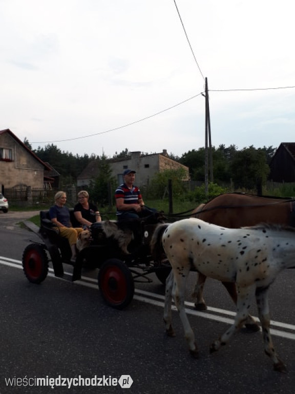 Maja w ogrodzie w Lewicach