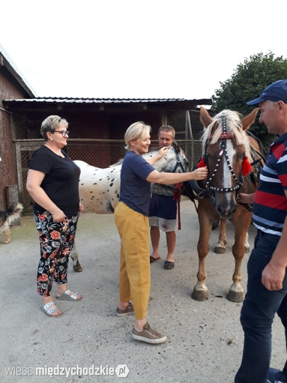 Maja w ogrodzie w Lewicach