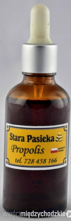 Stara Pasieka to rożnorodność miodów