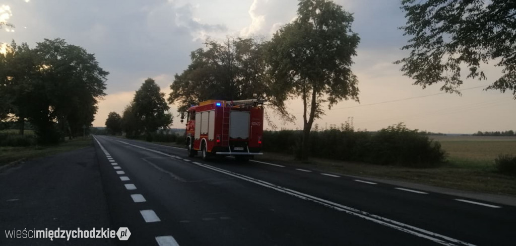 Kolizja drogowa na drodze nr 24
